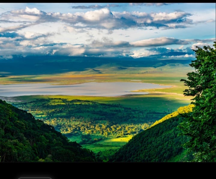 City of Wisdom Hotel